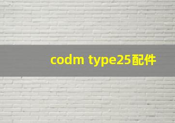 codm type25配件